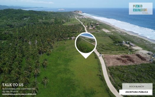 Lote de 1 Hectárea a unos pasos de la playa, El Venado (Roca Blanca)