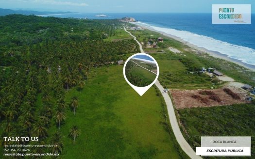1 Hectare Lot a few steps from the beach, El Venado (Roca Blanca)