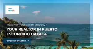 Banner real estate