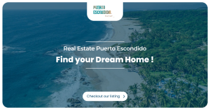 banner landscape real estate