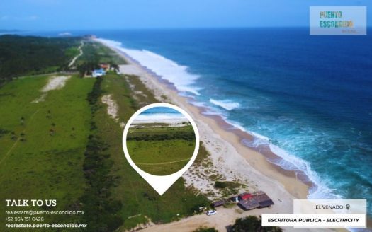 1 Beachfront Hectare lot in El Venado/Roca Blanca