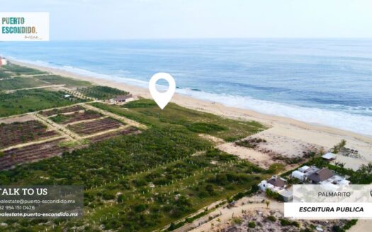 Lote Residencial en Palmarito