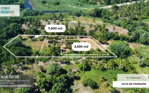 Financing Available: Sustainable Land in Tomatal
