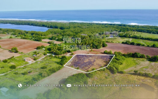 Boutique Lots Near the Beach