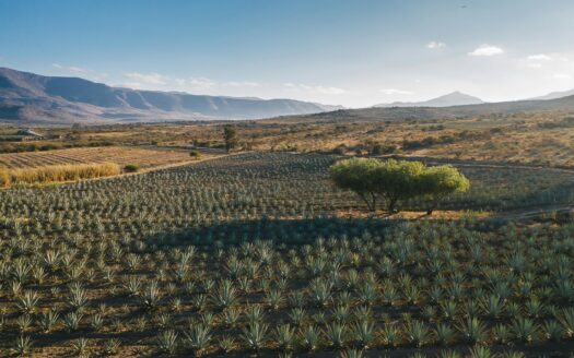 oaxaca expat property guide